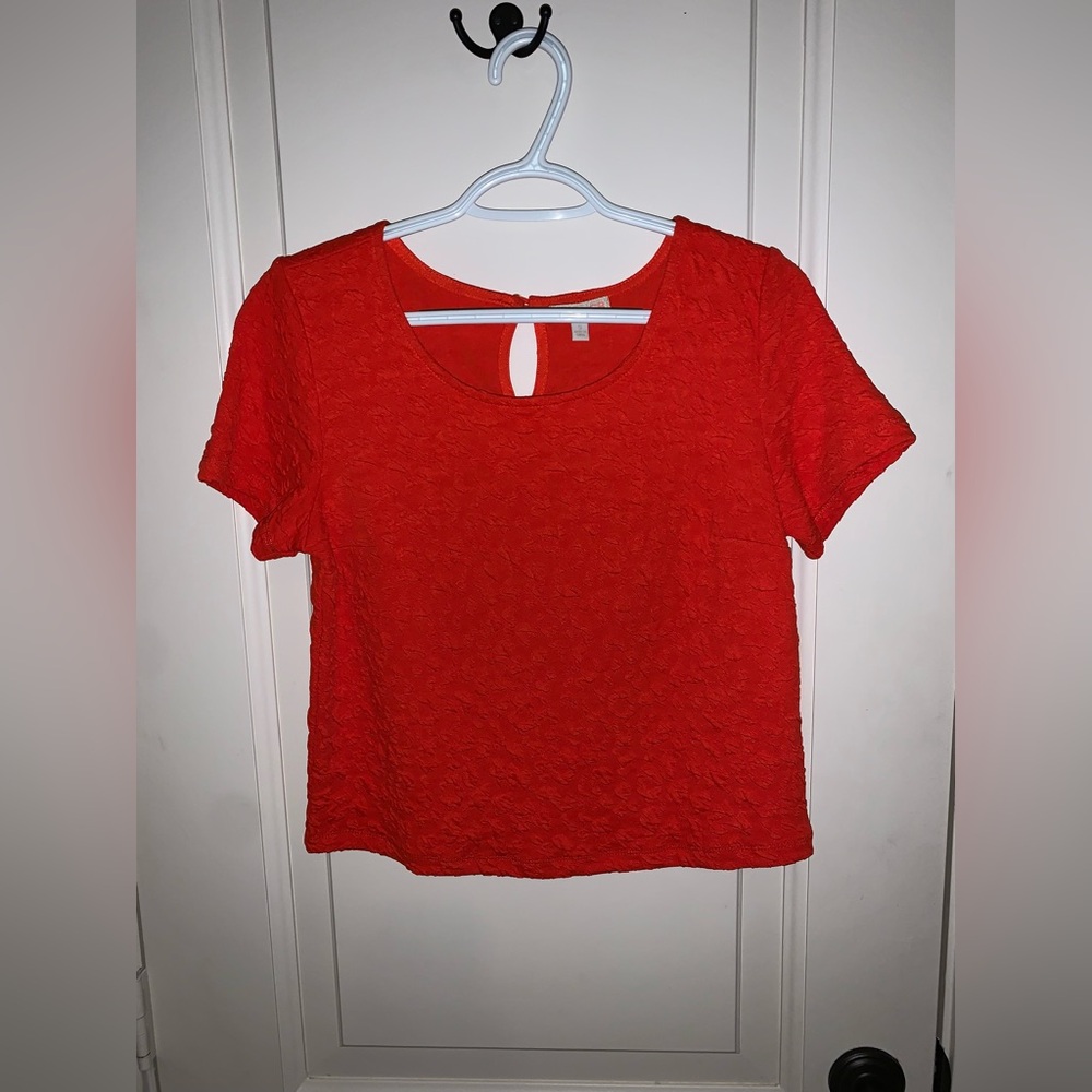 GB Gianni Bini Bright Orange Work Top, Slightly Cropped, Casual Career Wear NWOT
